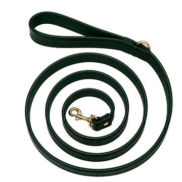 Laisse Cuir Émeraude
