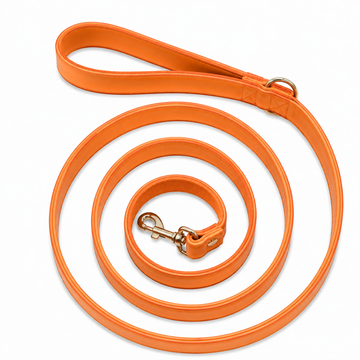 Laisse Cuir Orange