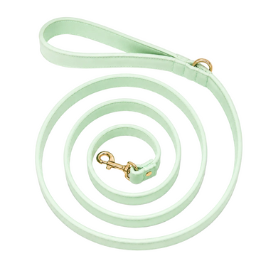 Laisse Cuir Vert