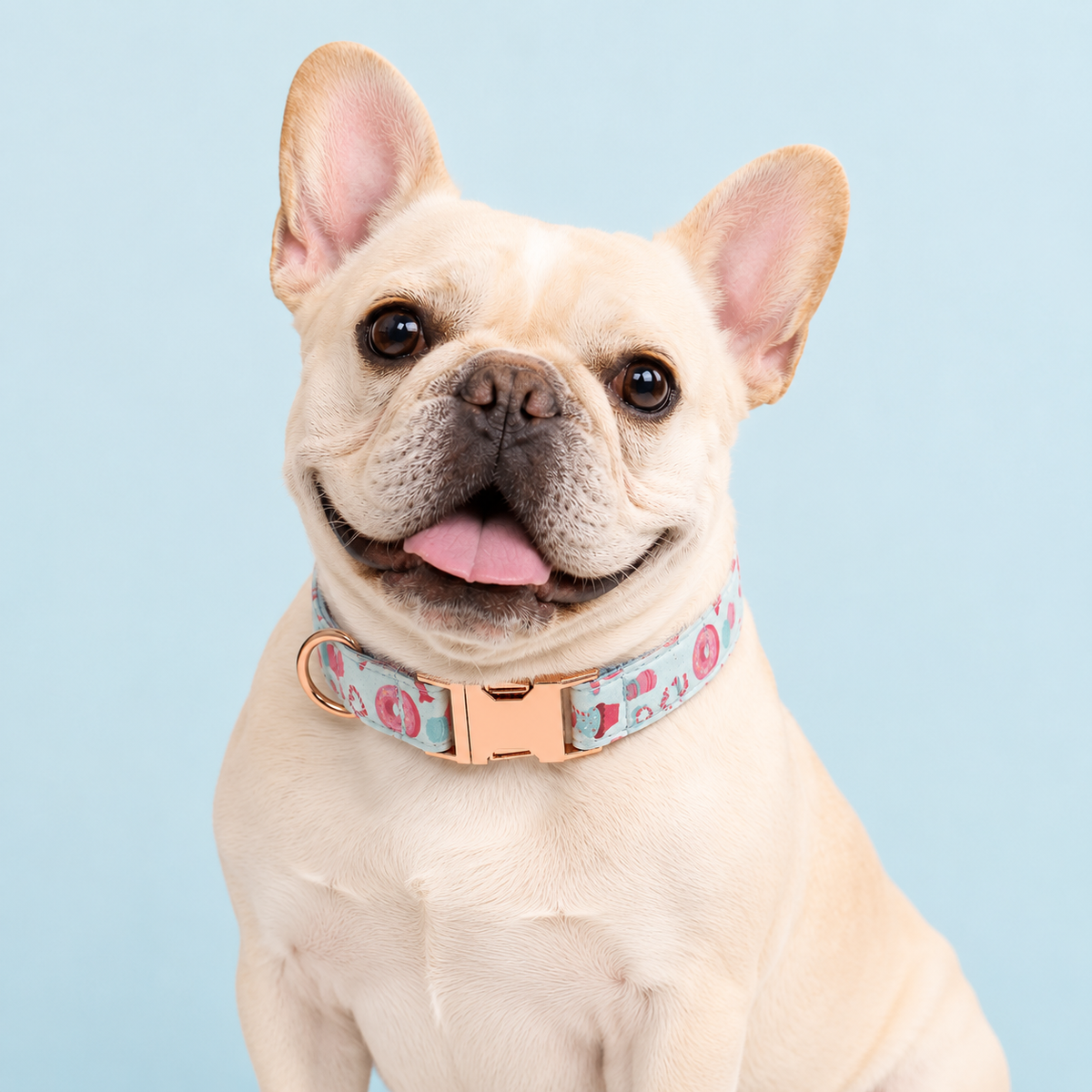 Collier Chien Donut Bleu Sucré