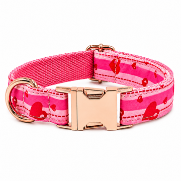 Collier Chien Je suis ton Préféré