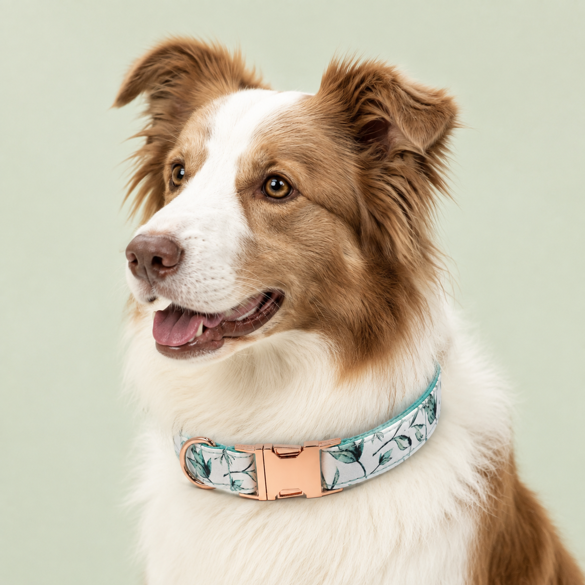 Collier Chien Petit Bambou Dansant